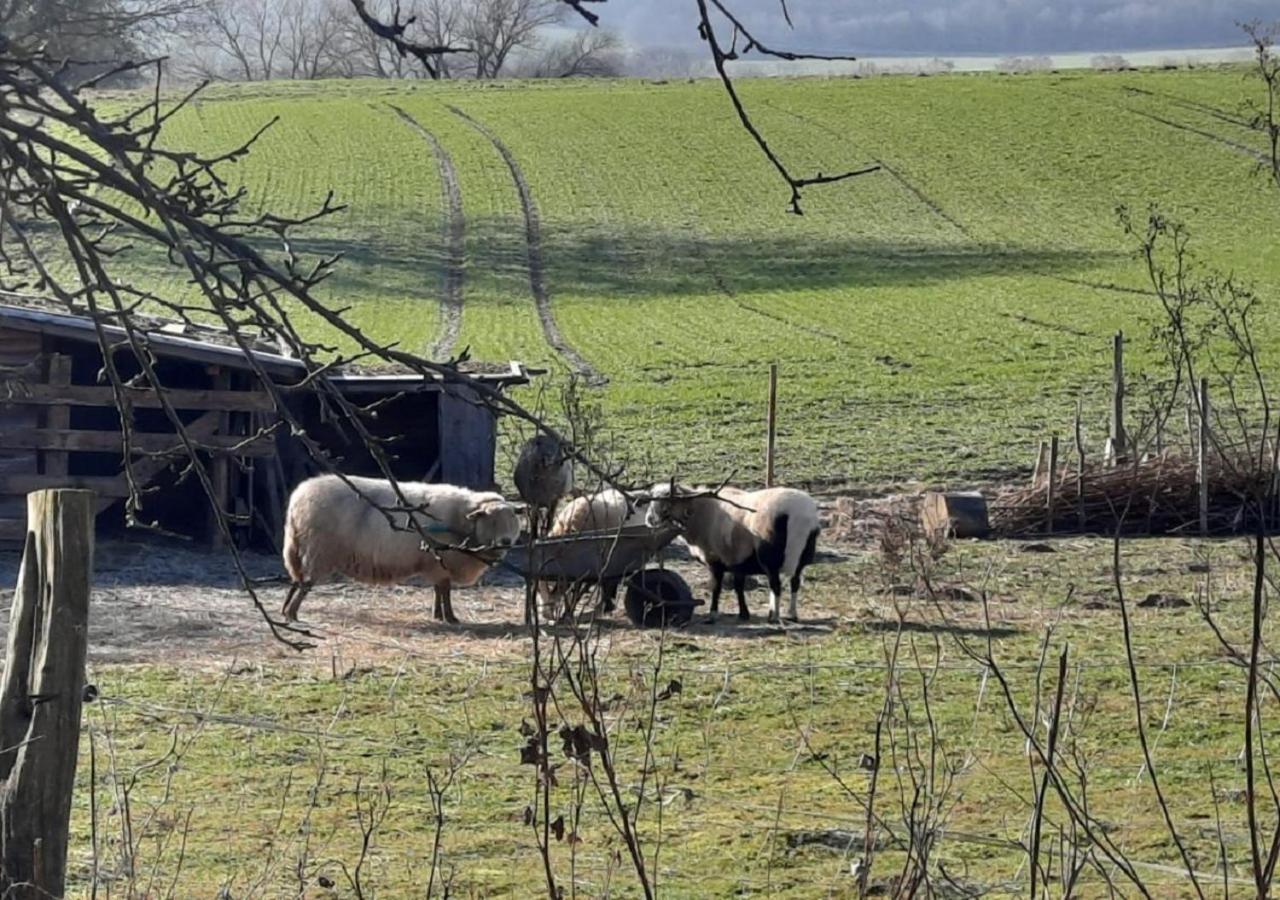 Apartment Exklusive Naturoase Direkt Am Ars Natura Wanderweg Mit Panoramablick Auf Melsungen